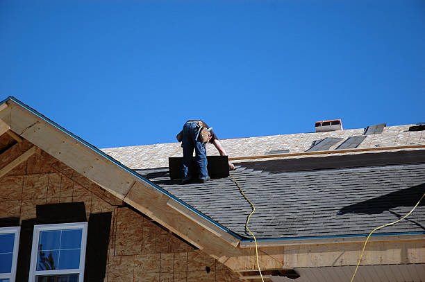 Best Roof Moss and Algae Removal  in St Ansgar, IA