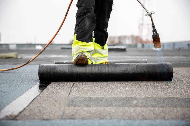 Best Roof Maintenance and Cleaning  in St Ansgar, IA