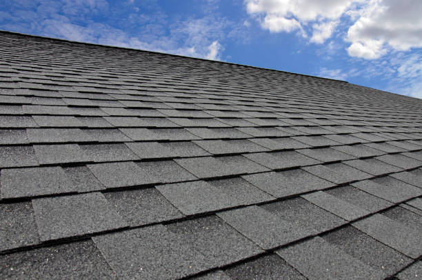 Best Steel Roofing  in St Ansgar, IA